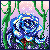:iconnevereatroses: