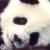 :iconneverending-darkness: