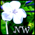 :iconneverlandwonders: