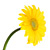 :iconnevermore1818: