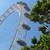 :iconneversawbluelikethat: