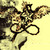 :iconneversbird: