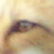:iconnevertoolate-stock: