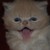:iconnevsenev: