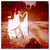 :iconnew-killer-star: