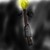 :iconnewarchstar:
