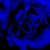 :iconnewborn05: