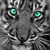 :iconnewcastleepl: