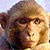 :iconnewcawar: