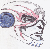 :iconnewclearnomad: