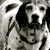 :iconnewdawnaugust: