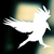 :iconnewgrimmcity: