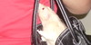 :iconnewjerseyrats: