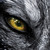 :iconnewlonewolf245:
