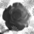 :iconnewmarie07: