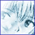 :iconnewmessenger: