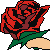 :iconnewselena42: