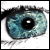 :iconnewsmaus:
