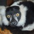 :iconnewsome9465: