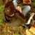 :iconnewthreshold: