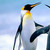 :iconnewton27: