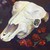 :iconnewtritional: