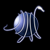 :iconnexarts: