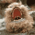 :iconnexerin: