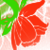 :iconnexess-chi: