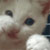 :iconnexthds: