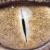 :iconnexus6789:
