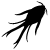 :iconnexusdm: