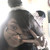 :iconneyg14: