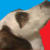 :iconnezzzenot: