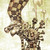 :iconnfelchle: