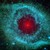 :iconngc7293: