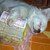 :iconngocloi: