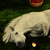 :iconnh-art:
