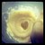 :iconnhipkat294: