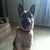 :iconnhughes7781: