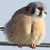 :iconniallhoran143: