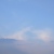 :iconnibtree: