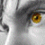 :iconnice-colours: