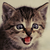 :iconnicegamer101: