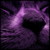 :iconniceguyeddy8:
