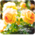 :iconnicenote: