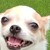 :iconnicholasjevan: