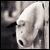 :iconnicholaskennedy: