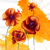 :iconnicholesquared: