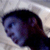 :iconnickbalazs: